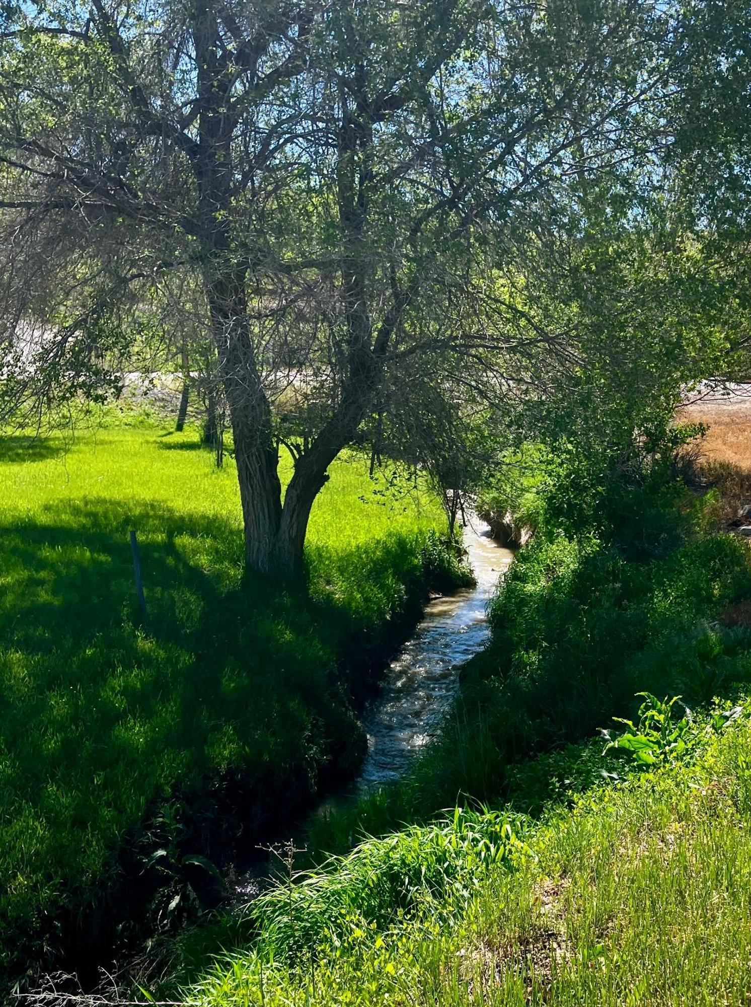 Let'S Go ! Fisherman, Families, Pools One Minute From Your Door, Comfort, Location Perfect, Amenity-Rich, Pup Friendly, Discover An Exceptional Wyoming Stay, Thermopolis River Walk Home At Hot Springs State Park, 'Where Families And Fisherman Stay' المظهر الخارجي الصورة
